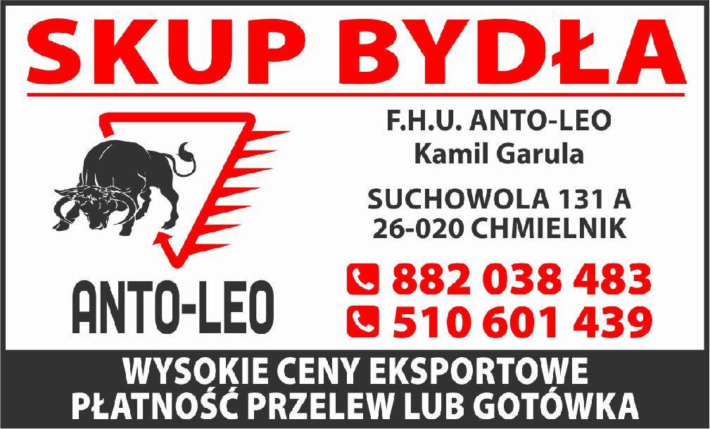 skup bydła Anto-Leo